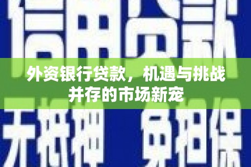 澄城外资银行贷款，机遇与挑战并存的市场新宠