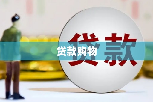 历城贷款购物