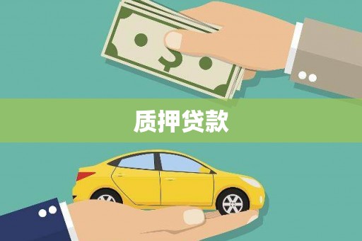 双河质押贷款