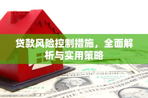 金安贷款风险控制措施，全面解析与实用策略