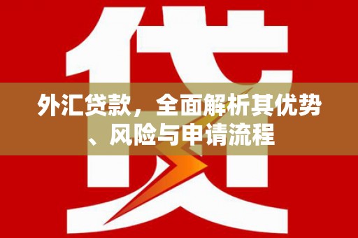 汕尾外汇贷款，全面解析其优势、风险与申请流程