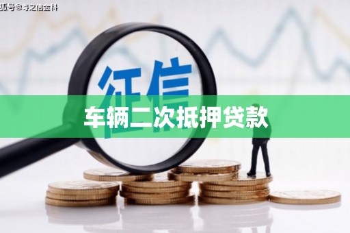 蔡甸车辆二次抵押贷款