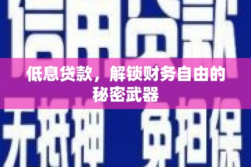 禄丰低息贷款，解锁财务自由的秘密武器
