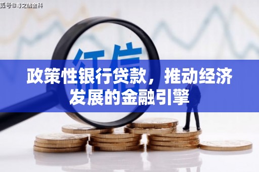 绥阳政策性银行贷款，推动经济发展的金融引擎