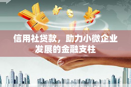 九台信用社贷款，助力小微企业发展的金融支柱