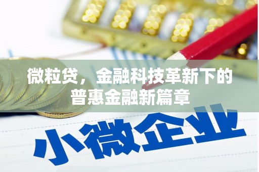 岱岳微粒贷，金融科技革新下的普惠金融新篇章