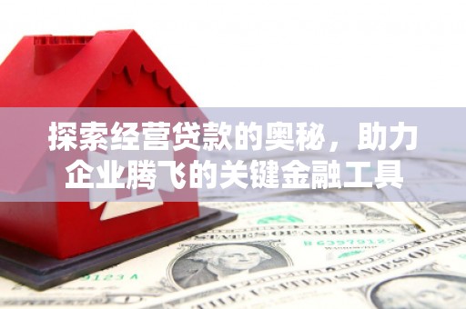 金溪探索经营贷款的奥秘，助力企业腾飞的关键金融工具