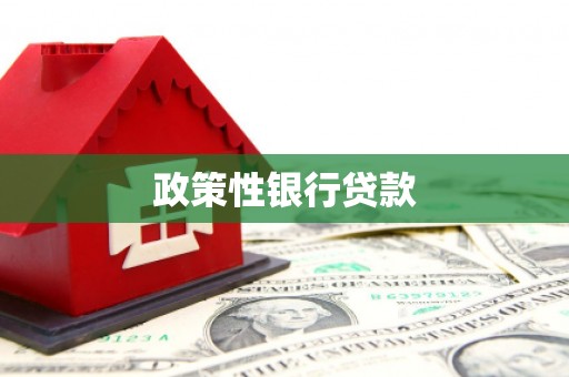 吉木萨尔政策性银行贷款