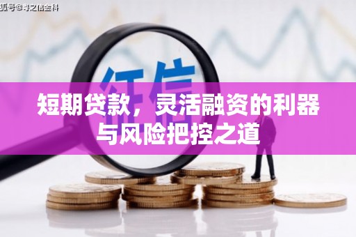 威海短期贷款，灵活融资的利器与风险把控之道
