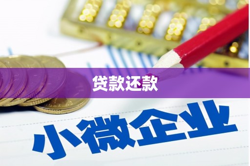 竹崎贷款还款