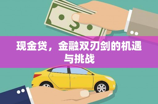 澜沧现金贷，金融双刃剑的机遇与挑战