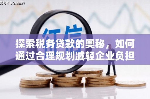 沙湾探索税务贷款的奥秘，如何通过合理规划减轻企业负担