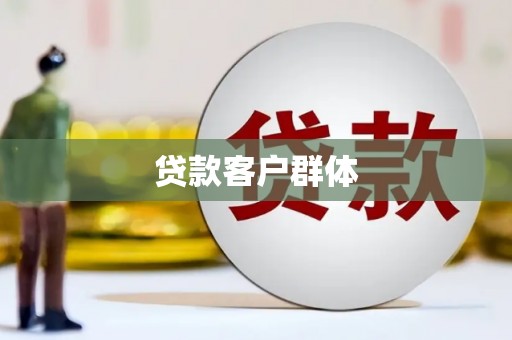 雨城贷款客户群体