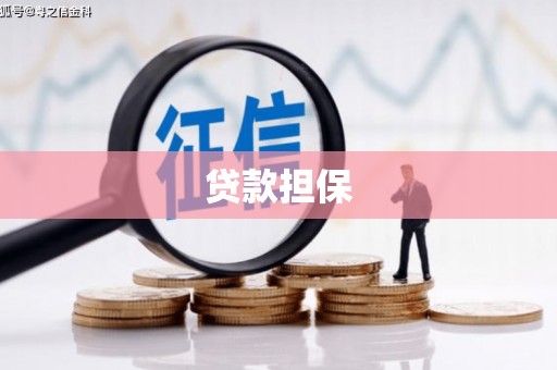 延津贷款担保