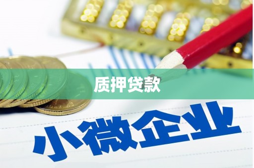 旺苍质押贷款