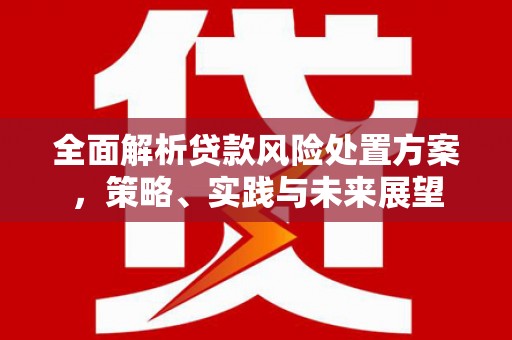 南溪全面解析贷款风险处置方案，策略、实践与未来展望