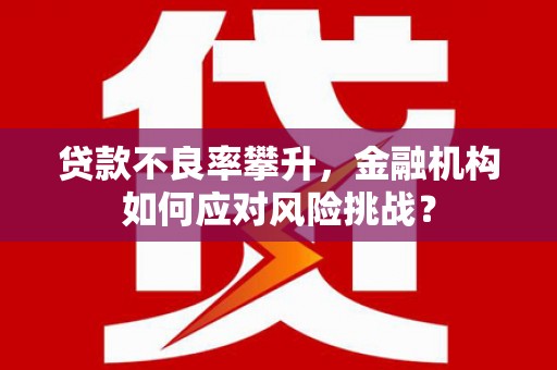泌阳贷款不良率攀升，金融机构如何应对风险挑战？