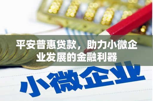 新园平安普惠贷款，助力小微企业发展的金融利器