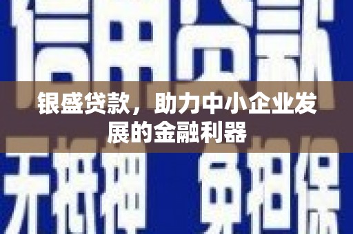 正宁银盛贷款，助力中小企业发展的金融利器