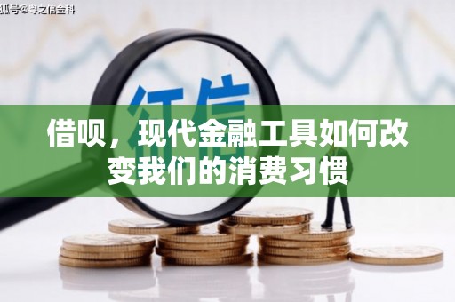 阳东借呗，现代金融工具如何改变我们的消费习惯