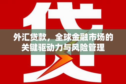 黔西外汇贷款，全球金融市场的关键驱动力与风险管理