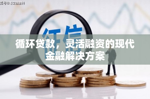 海南循环贷款，灵活融资的现代金融解决方案
