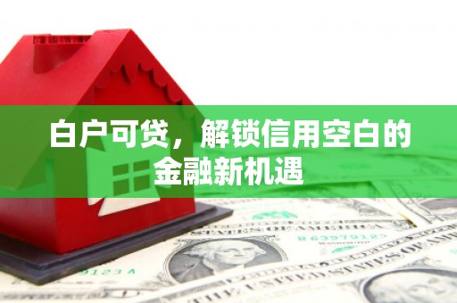 平乡白户可贷，解锁信用空白的金融新机遇