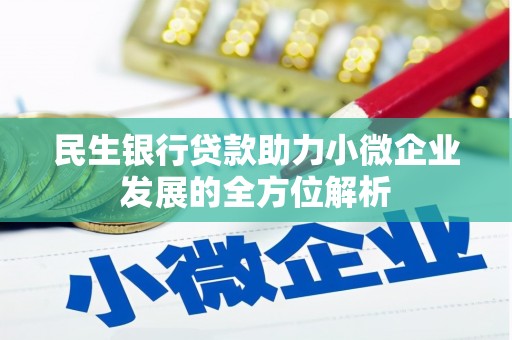 泸溪民生银行贷款助力小微企业发展的全方位解析