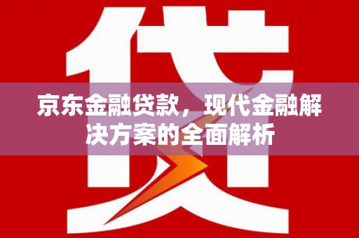 巍山京东金融贷款，现代金融解决方案的全面解析
