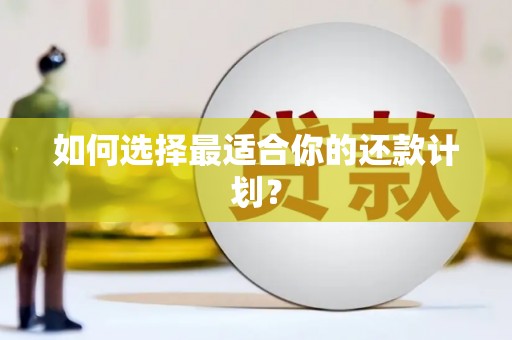 西陵如何选择最适合你的还款计划？