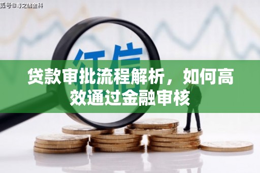 夏邑贷款审批流程解析，如何高效通过金融审核