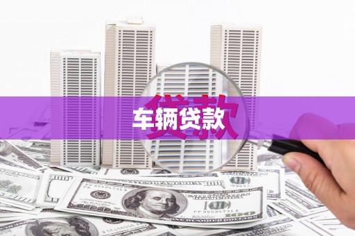 岭东车辆贷款