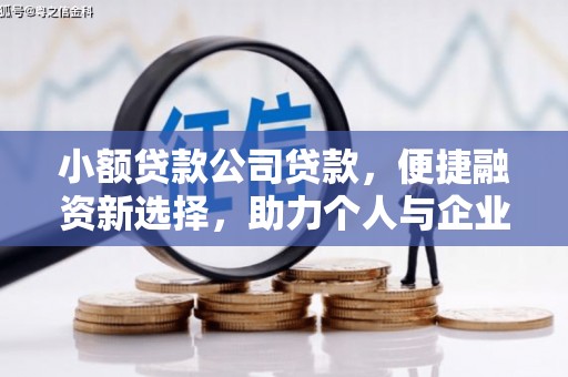 白河小额贷款公司贷款，便捷融资新选择，助力个人与企业成长