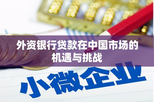 特克斯外资银行贷款在中国市场的机遇与挑战