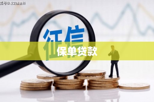 夏县保单贷款