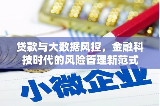 阿巴嘎旗贷款与大数据风控，金融科技时代的风险管理新范式