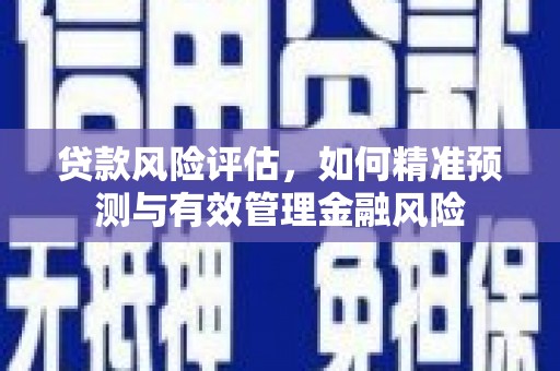 临海贷款风险评估，如何精准预测与有效管理金融风险