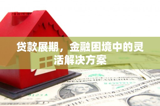 平谷贷款展期，金融困境中的灵活解决方案