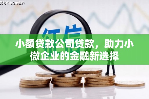 红塔小额贷款公司贷款，助力小微企业的金融新选择