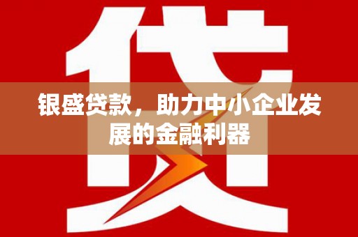 务川银盛贷款，助力中小企业发展的金融利器