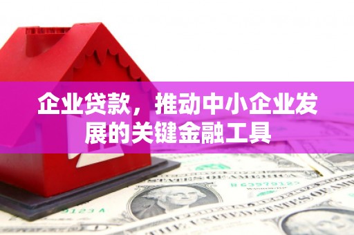 屏南企业贷款，推动中小企业发展的关键金融工具