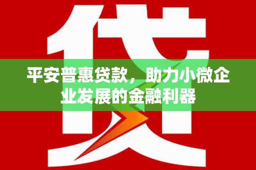 庄浪平安普惠贷款，助力小微企业发展的金融利器