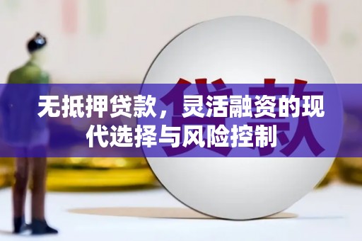 崇左无抵押贷款，灵活融资的现代选择与风险控制