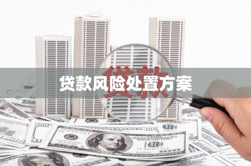 云岩贷款风险处置方案