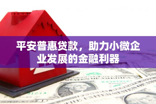 沈河平安普惠贷款，助力小微企业发展的金融利器