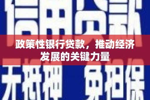 丰宁政策性银行贷款，推动经济发展的关键力量