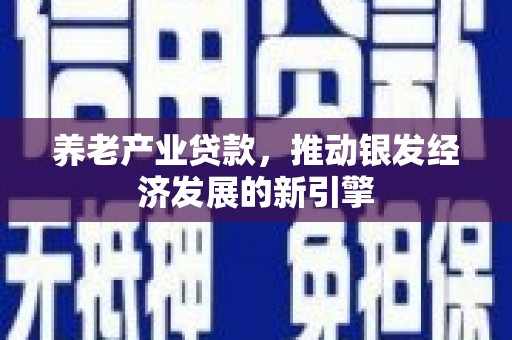 圣方济各堂区养老产业贷款，推动银发经济发展的新引擎