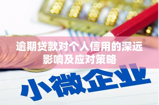 大安逾期贷款对个人信用的深远影响及应对策略