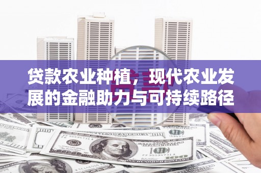 辽阳贷款农业种植，现代农业发展的金融助力与可持续路径