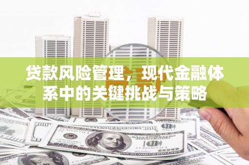 二水贷款风险管理，现代金融体系中的关键挑战与策略